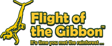 flight of the gibbon travel blogger