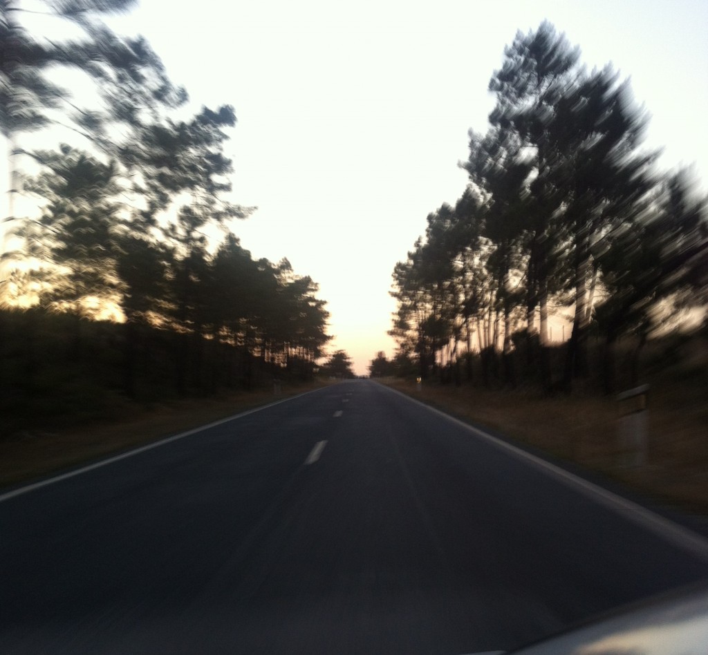 Comporta Beach Portugal Roadtrip