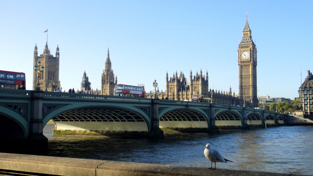 How To Save Money In London - Seagull enjoying view from Southbank, London - Geeky Explorer