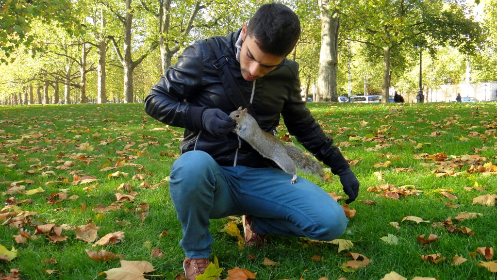How To Save Money In London - Squirrelling at St James Park, London