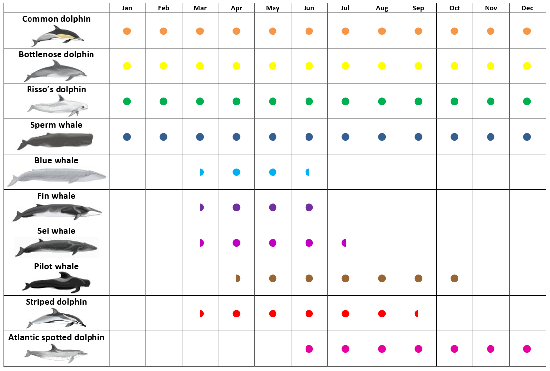 When Is The Best Time to Go To Azores? Geeky Explorer