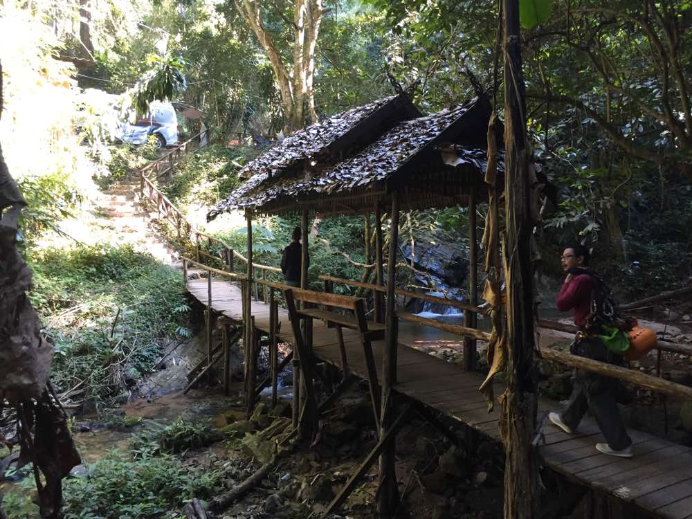 first time zip lining chiang mai way back