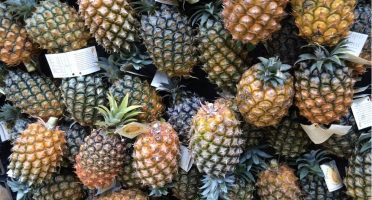 where to eat in sao miguel pineapple eating food azores