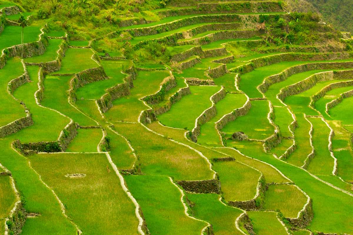 philippines reasons to visit rice terraces banaue