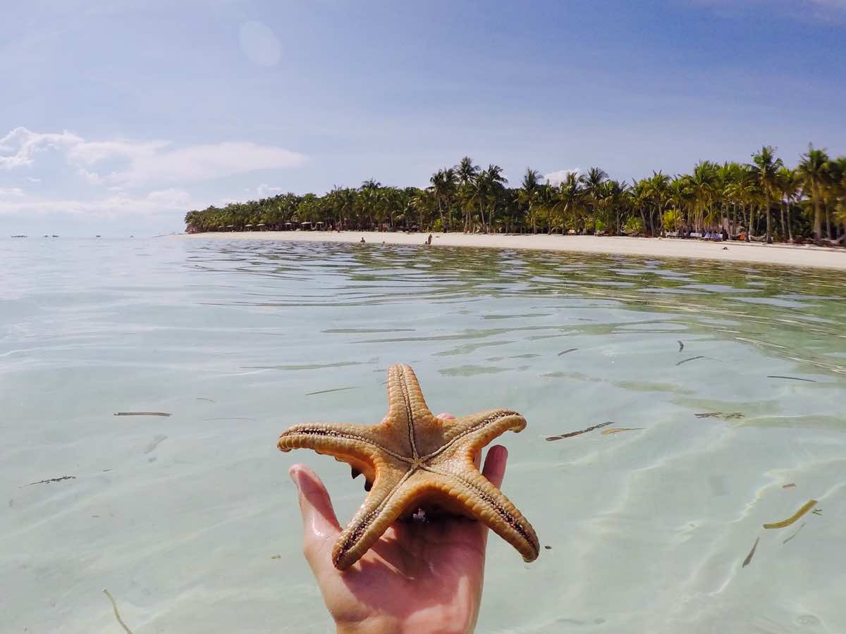 why go philippines reasons to visit starfish beach