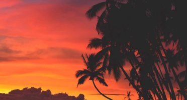 top tourist spots siquijor philippines palm trees sunset