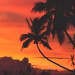 top tourist spots siquijor philippines palm trees sunset