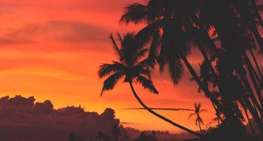top tourist spots siquijor philippines palm trees sunset