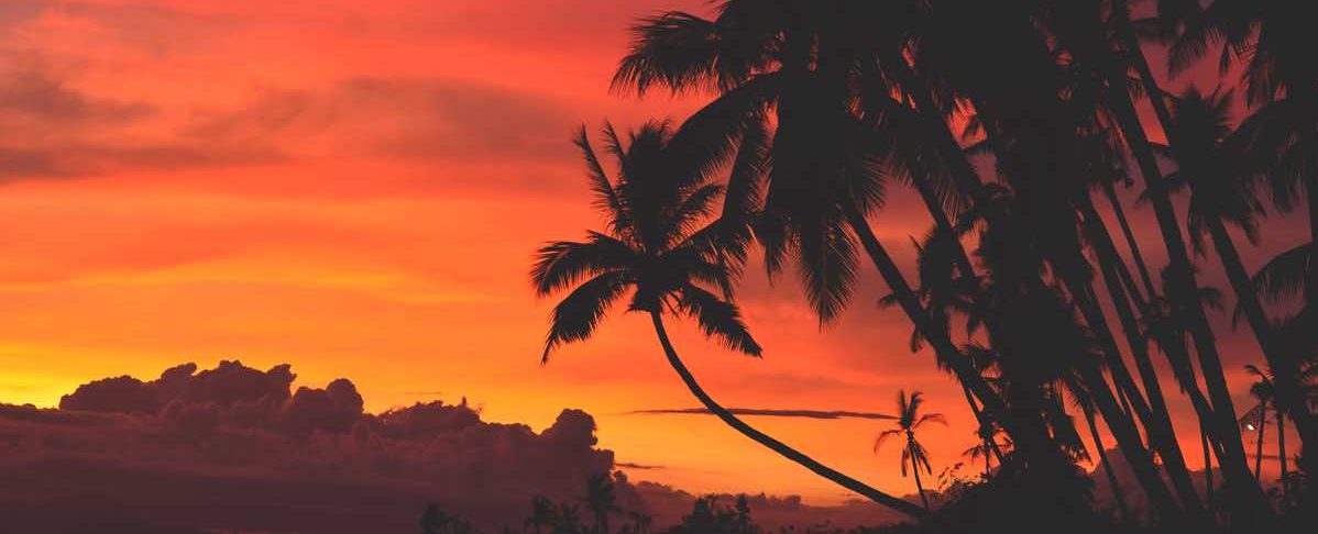 top tourist spots siquijor philippines palm trees sunset