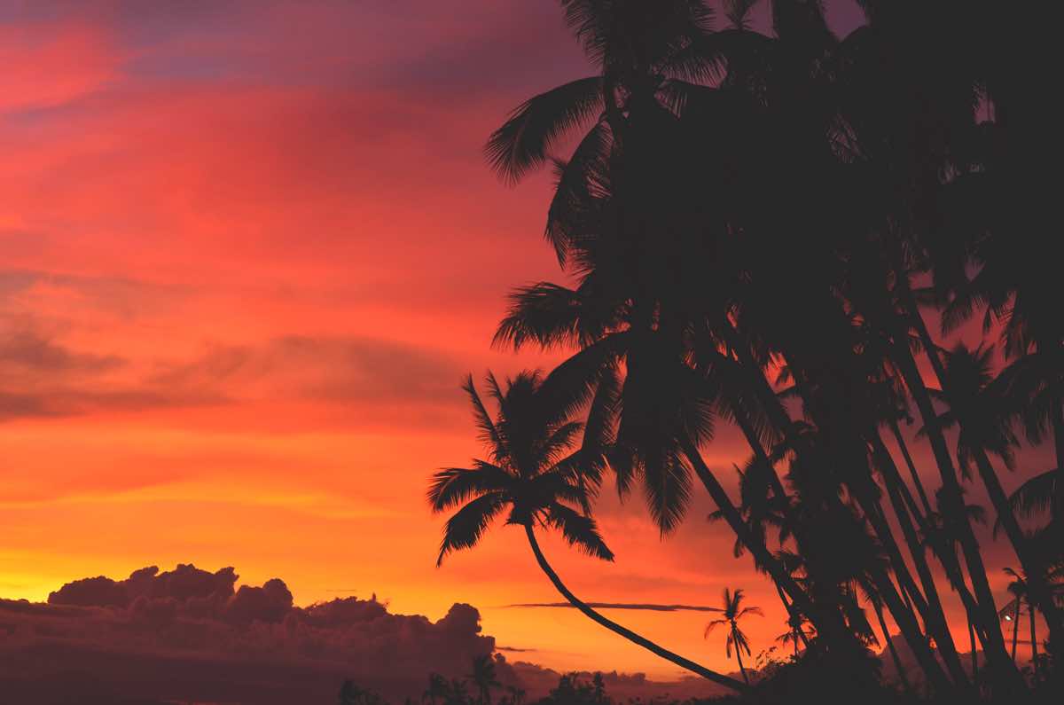 top tourist spots siquijor philippines palm trees sunset