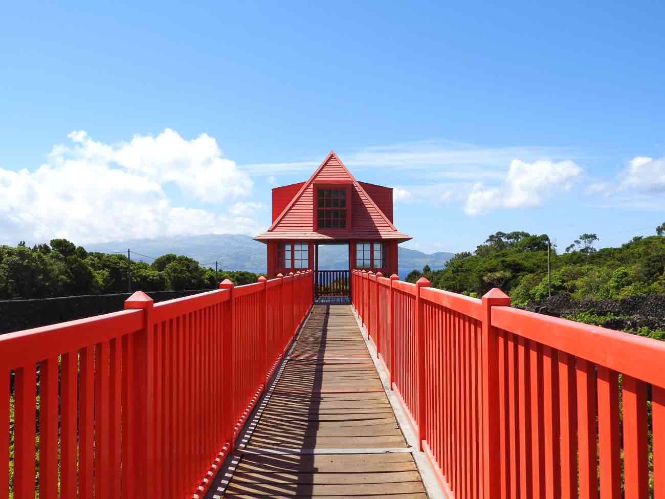 Pico island azores travel guide wine museum