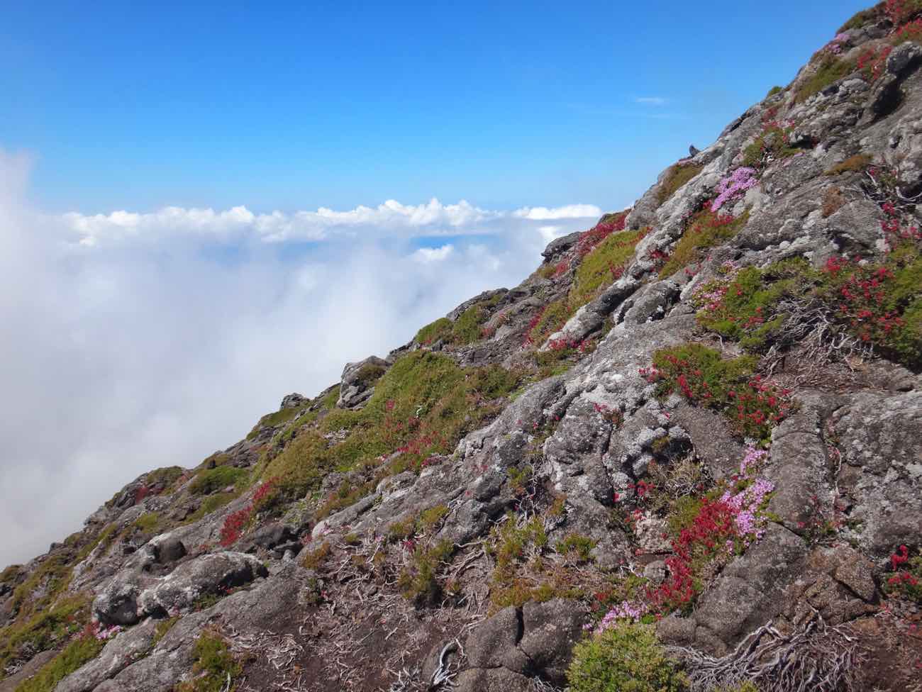 climb mount pico azores guide hiking up clear