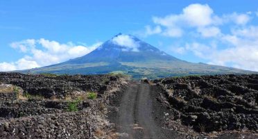 island pico travel guide mountain vineyards basalt