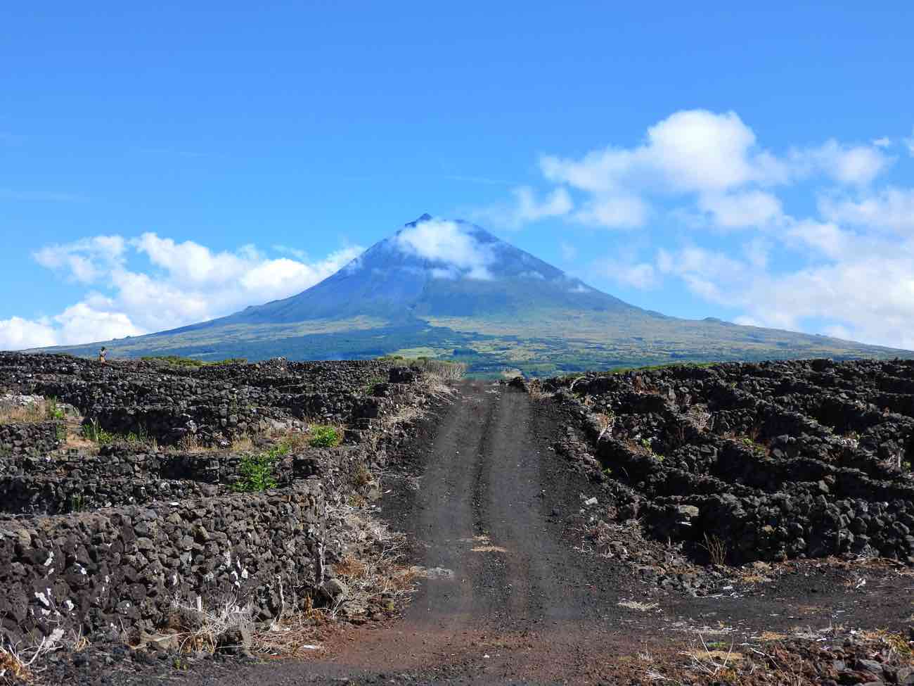 island pico travel guide mountain vineyards basalt