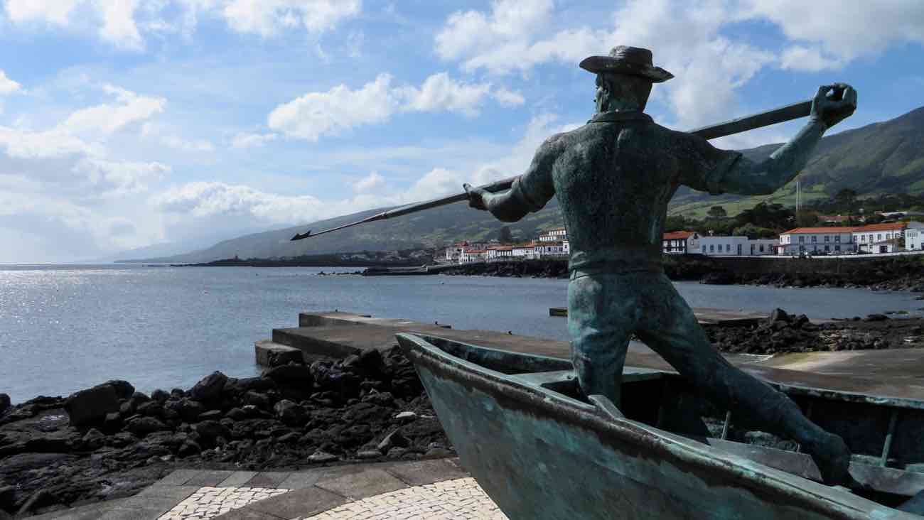 pico travel guide whaling industry whale watching azores