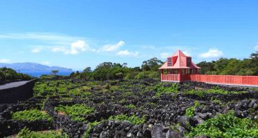 things to do in pico azores wine museum vineyards currais