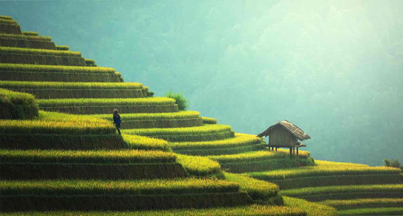 vietnam travel tips things to know before traveling vietnam rice fields terraced