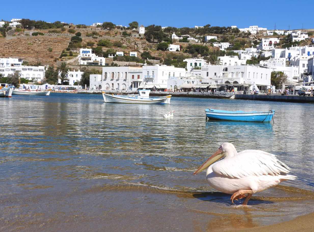 greece itinerary mykonos travel guide pelican