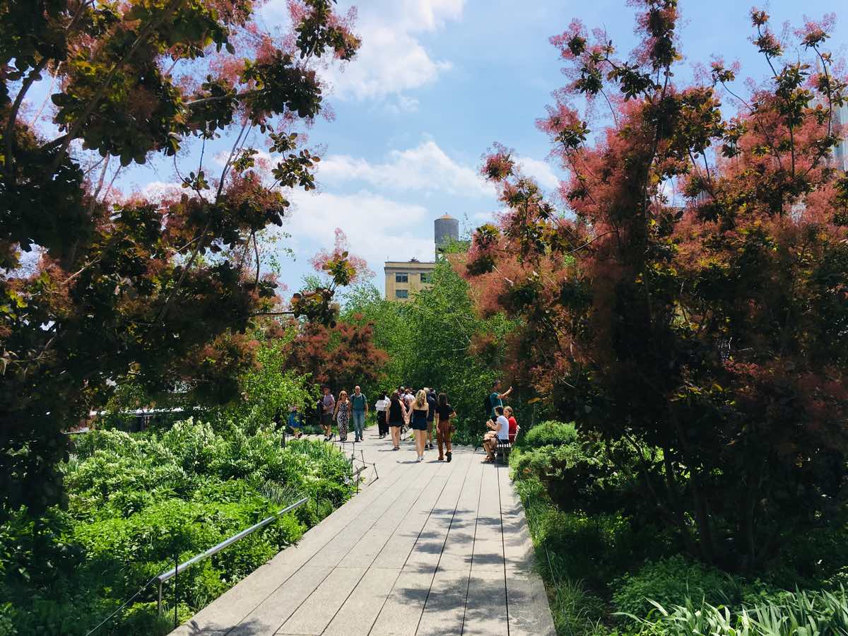 nyc-on-a-budget-high-line