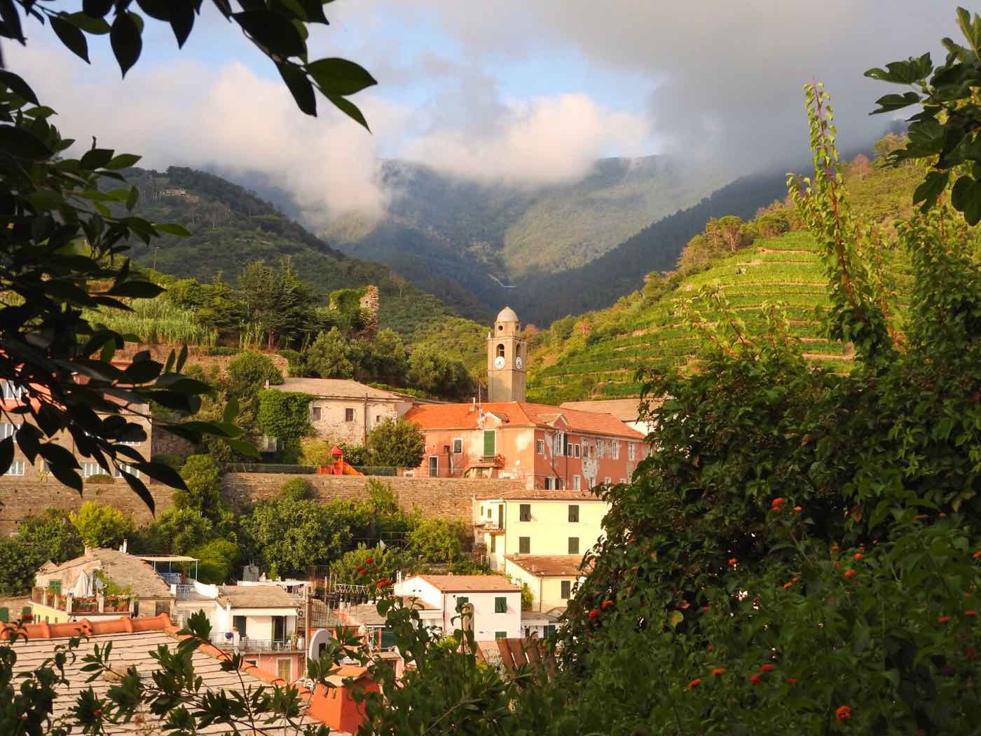 guide cinque terre blog vineyards italy