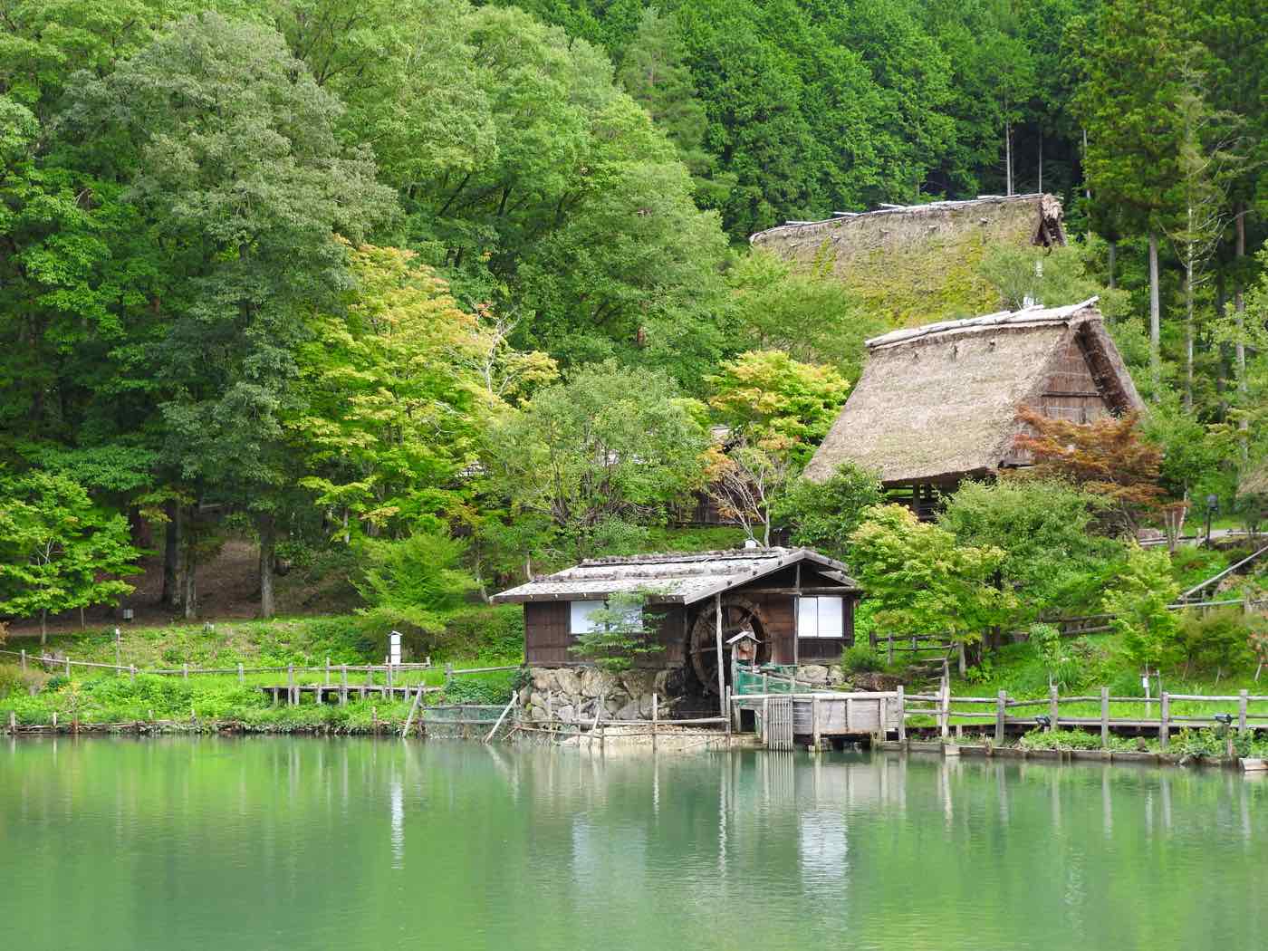 japan things to know nature folk village