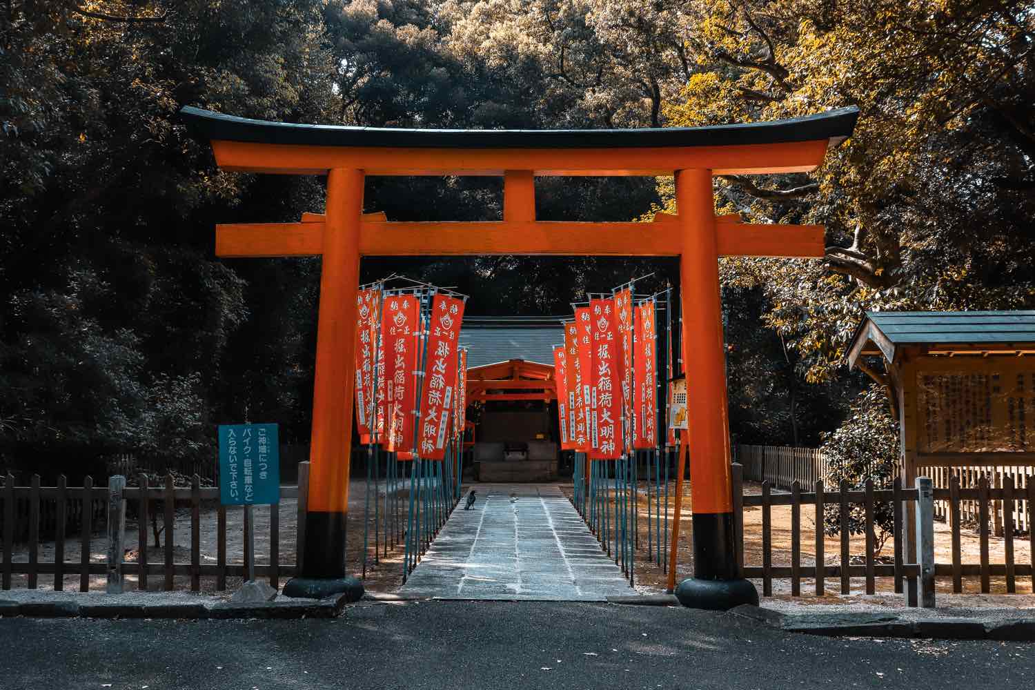 japan things to know travel tips shrine
