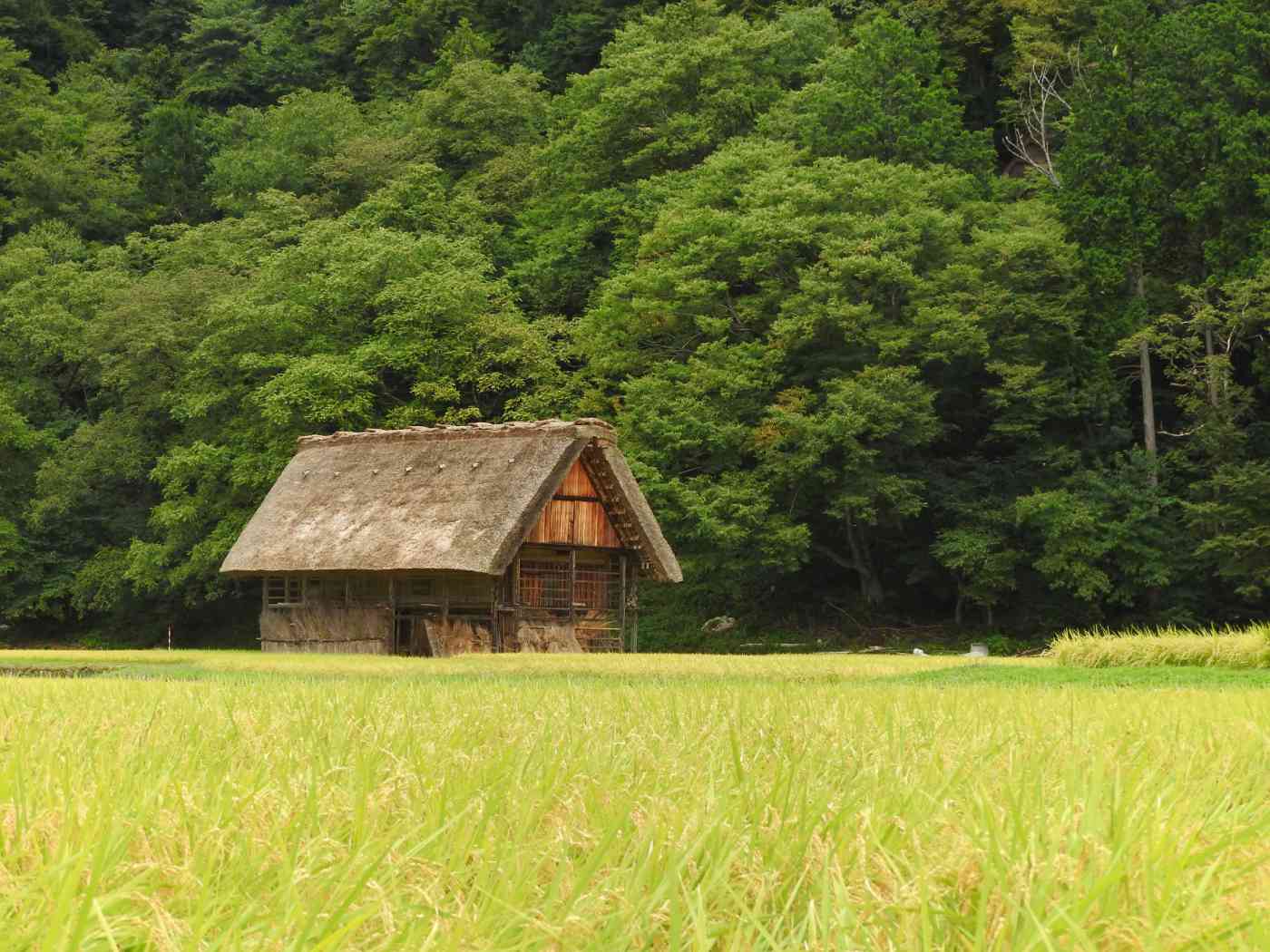 japan itinerary 14 days shirakawago houses