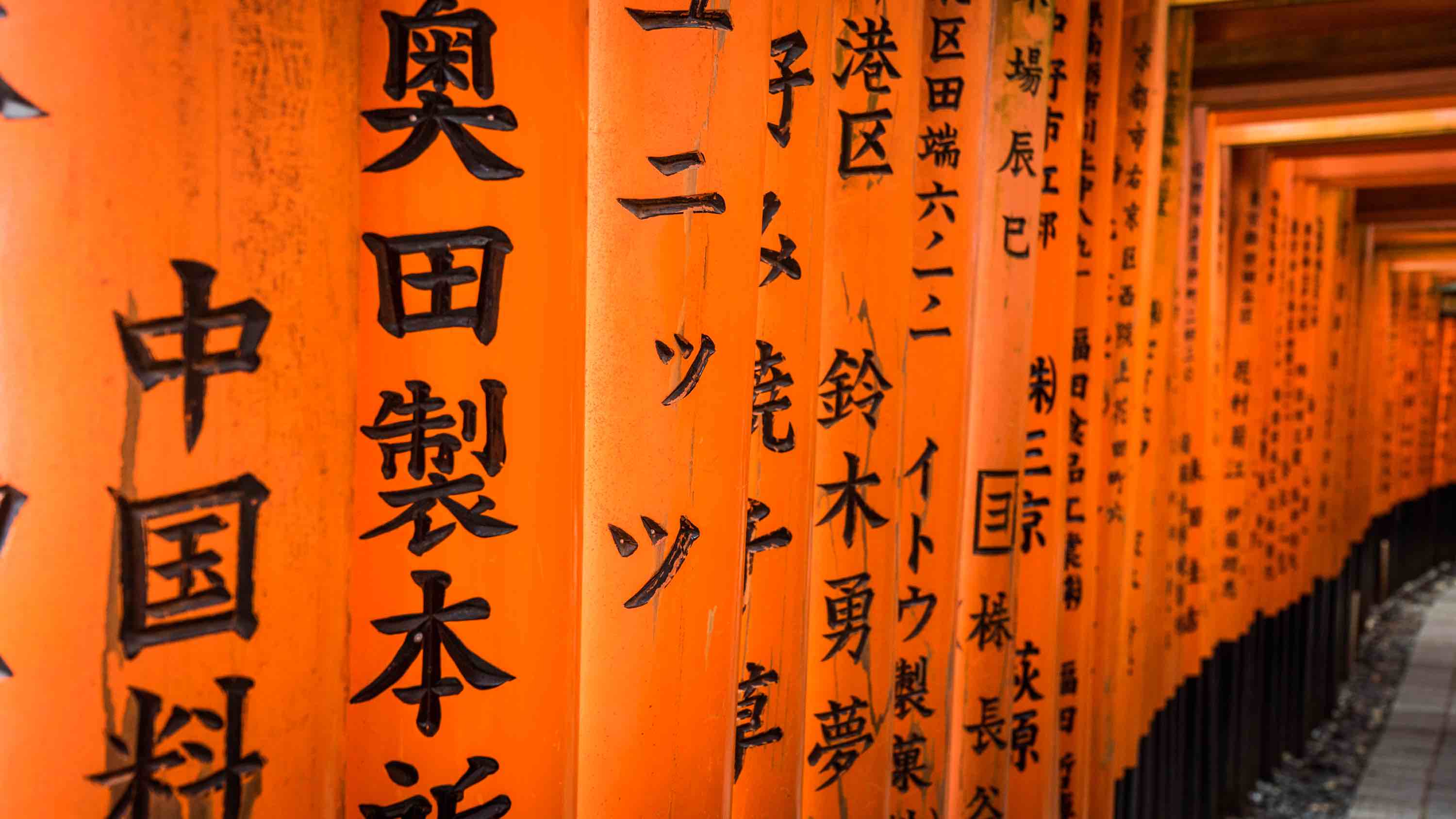 two weeks japan itinerary fushimi inari torii closeup