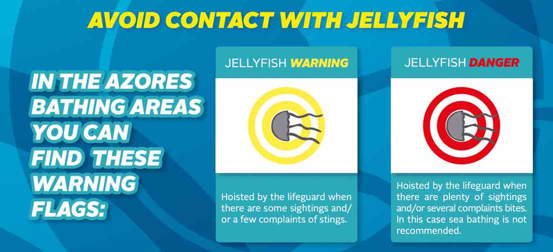 jellyfish azores beaches