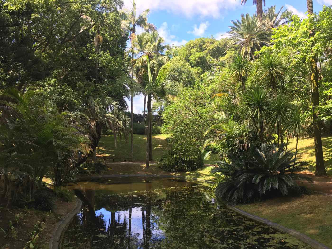 ponta delgada azores gardens antonio borges park