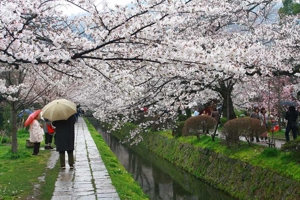 Philosophers Walk Kyoto