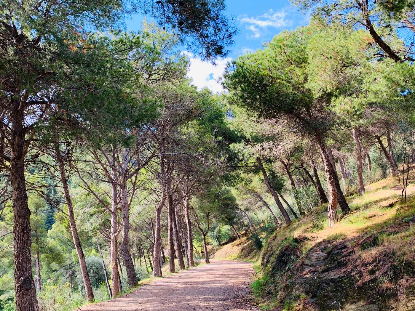 barcelona hidden gems forest trail Barcelona