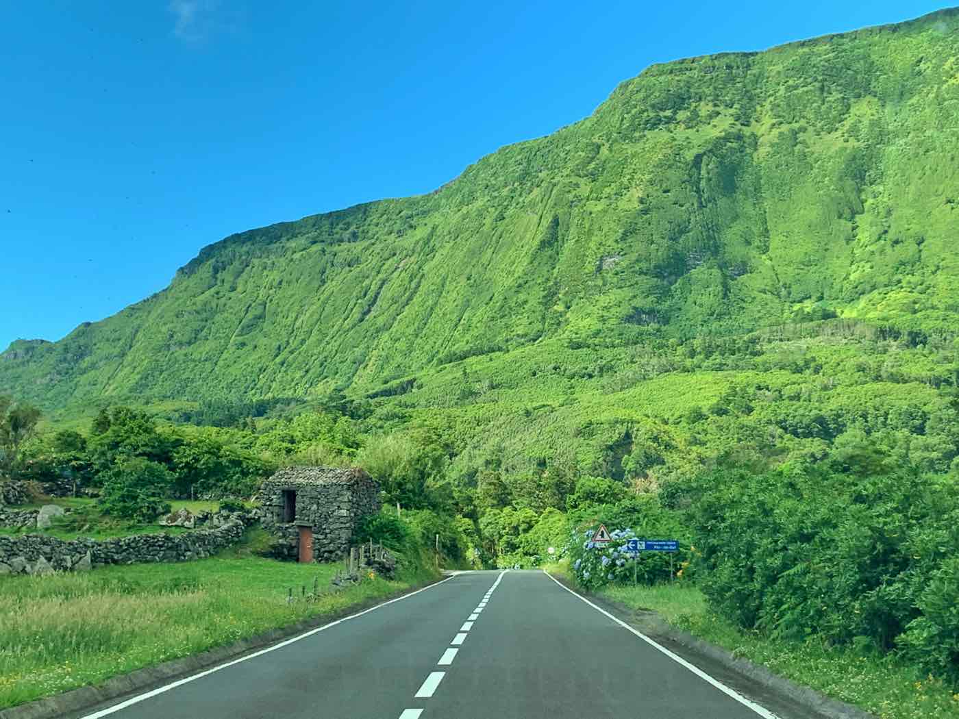 visit flores island azores