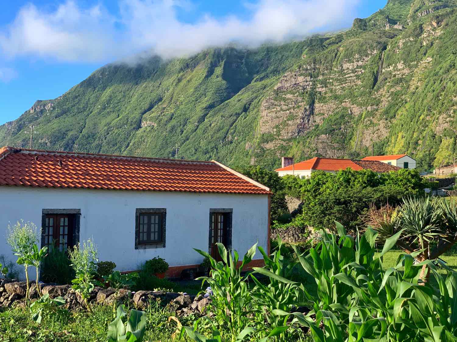 flores azores guide faja grande houses