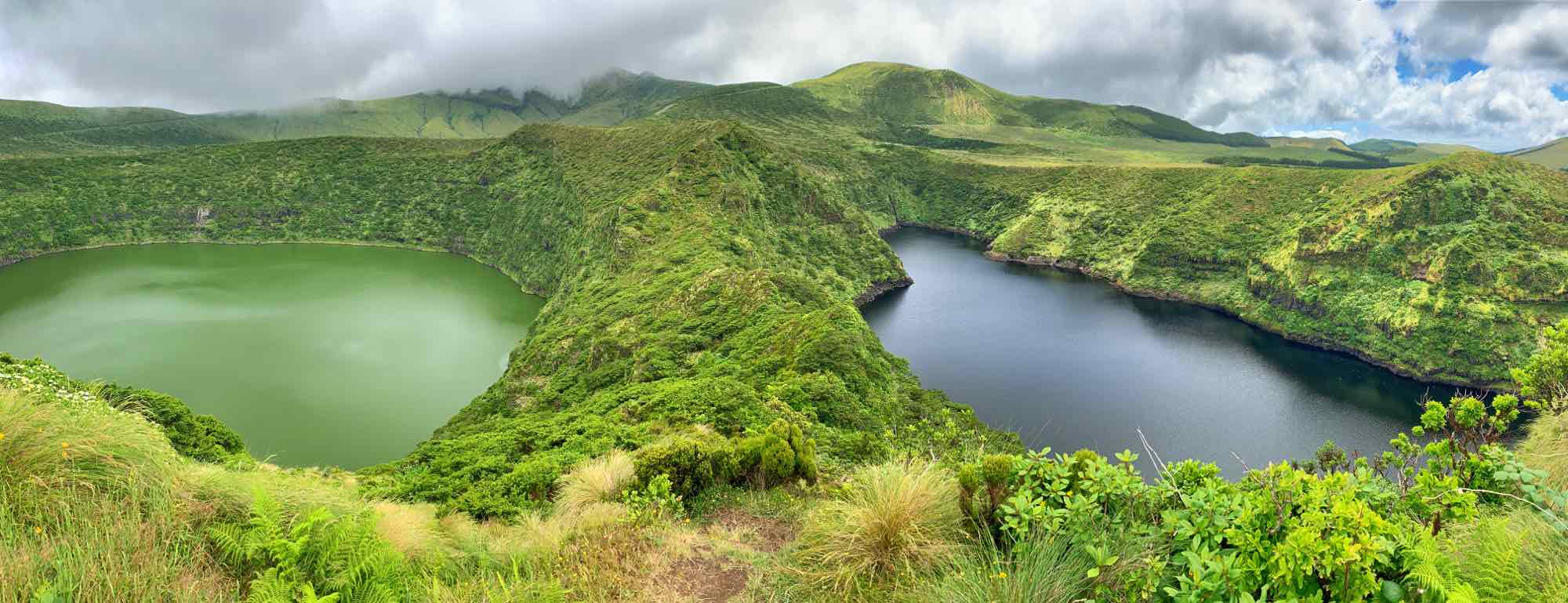 flores azores guide lagoa negra lagoa comprida