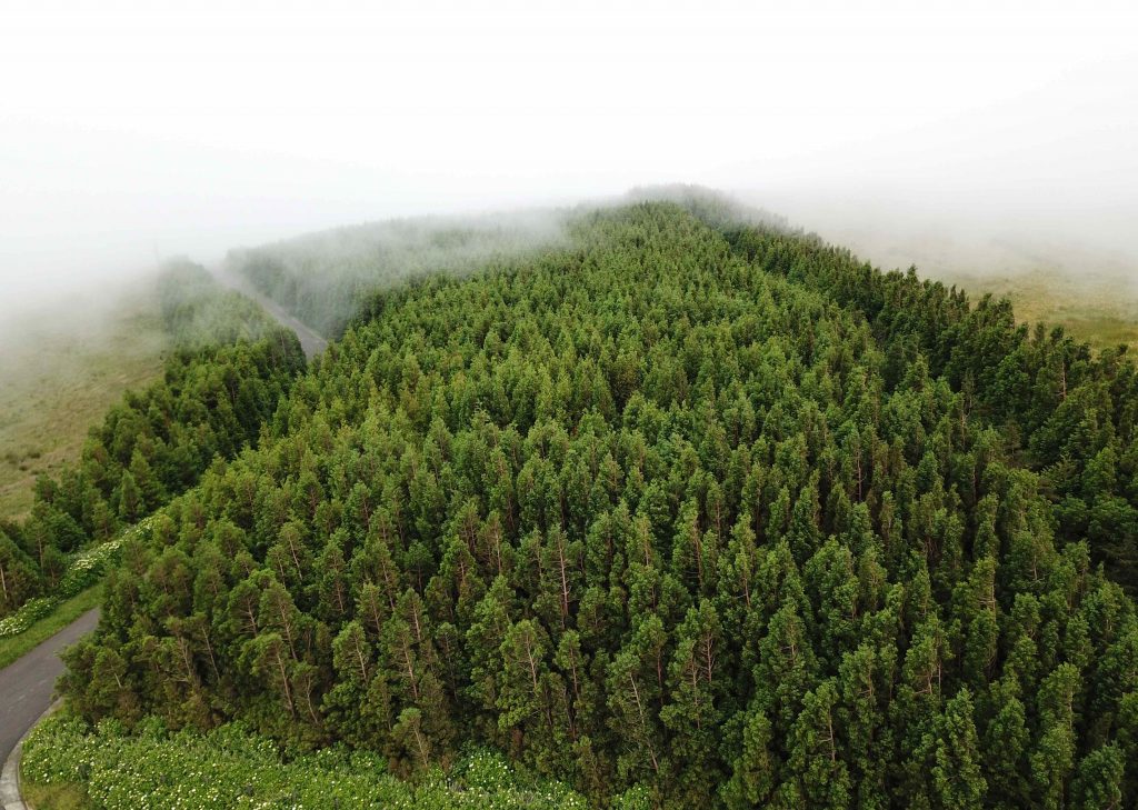 What to Do in São Miguel When It Rains