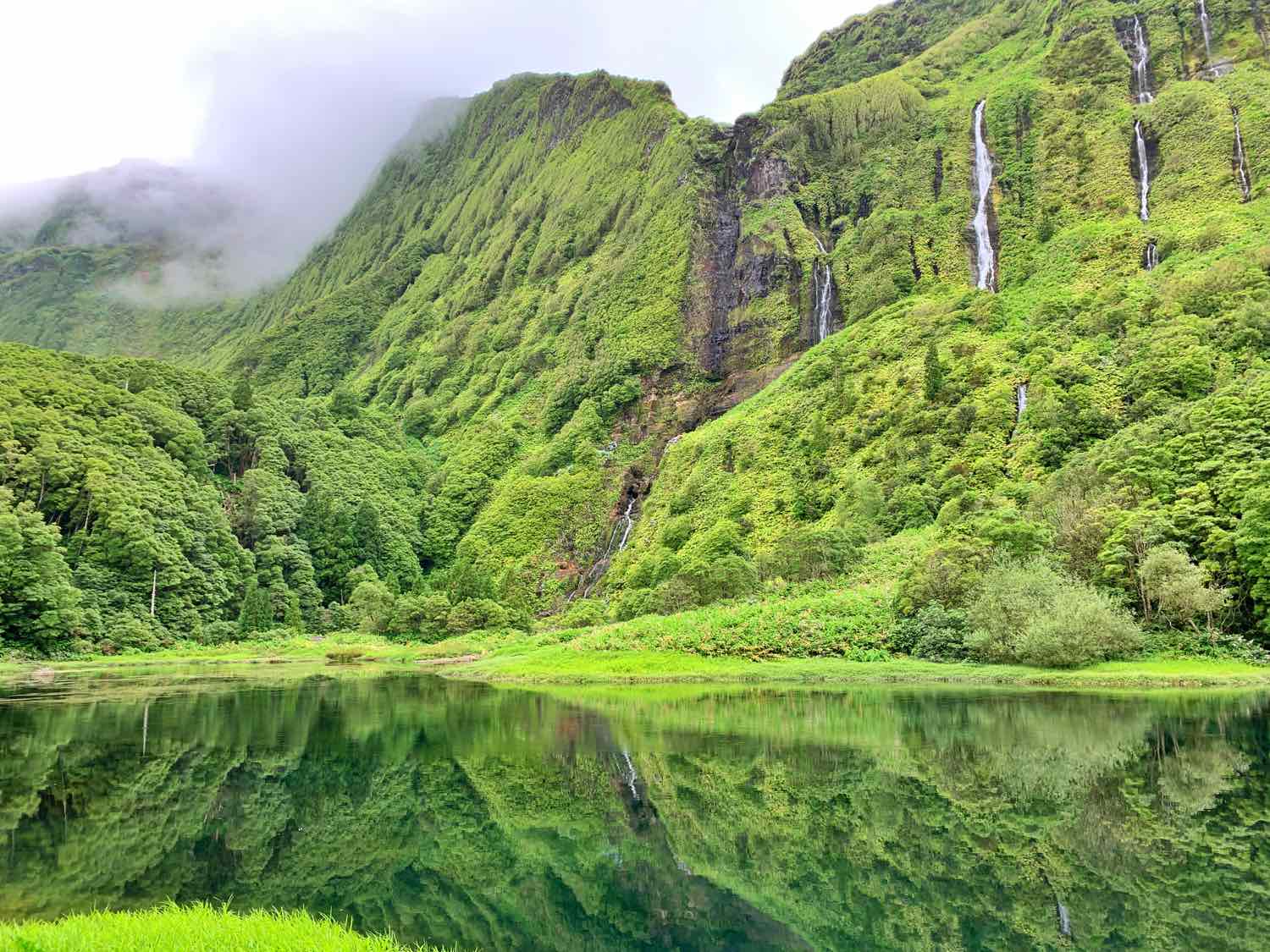 flores island azores things to do poco ribeira ferreiro alagoinha