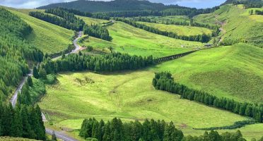 things to do in sao miguel azores green pastures