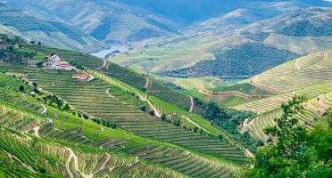 douro valley tips portugal