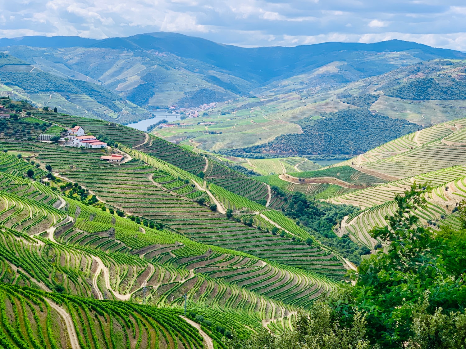 douro valley tips portugal