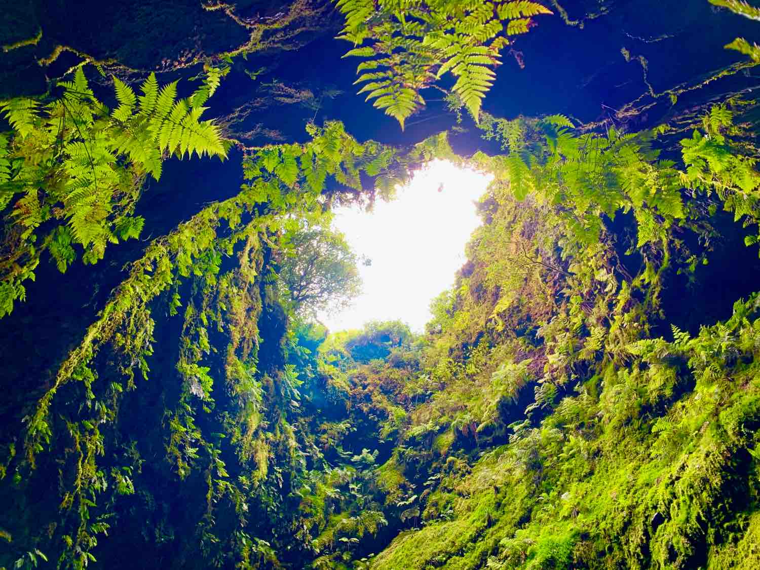 terceira azores algar do carvao volcano