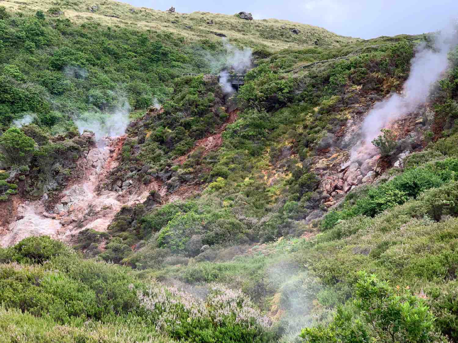 terceira island furnas do enxofre azores