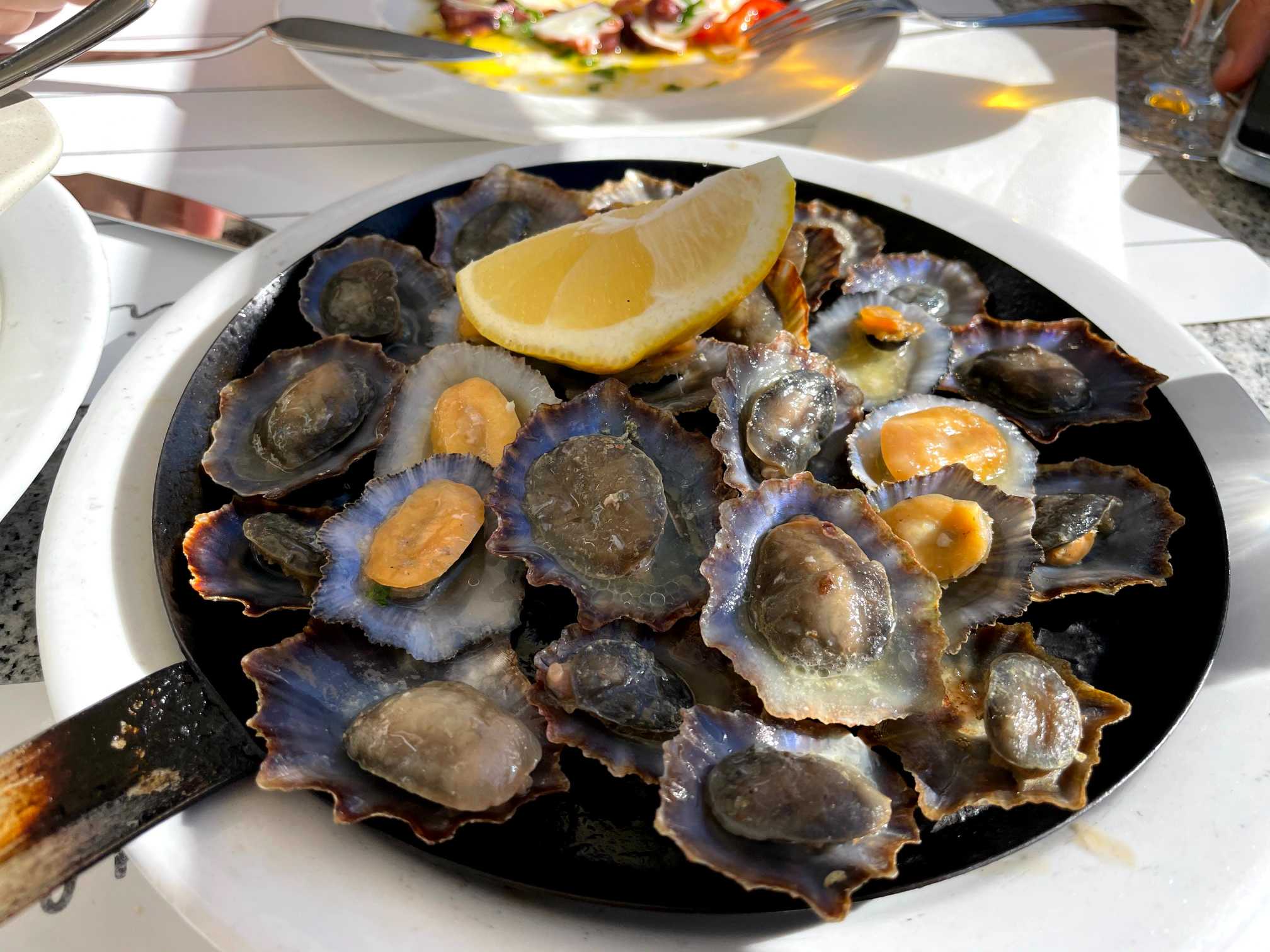 madeira island food lapas