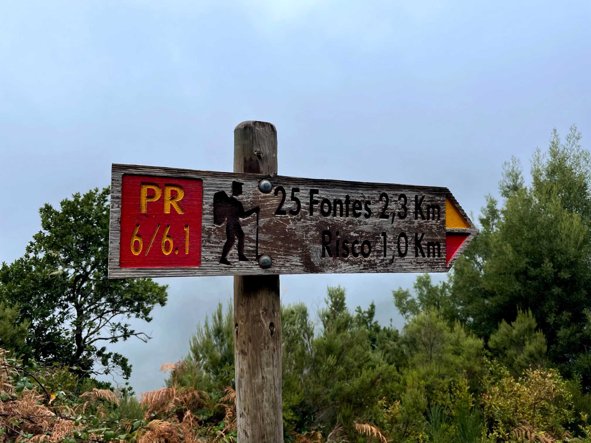 madeira island hiking