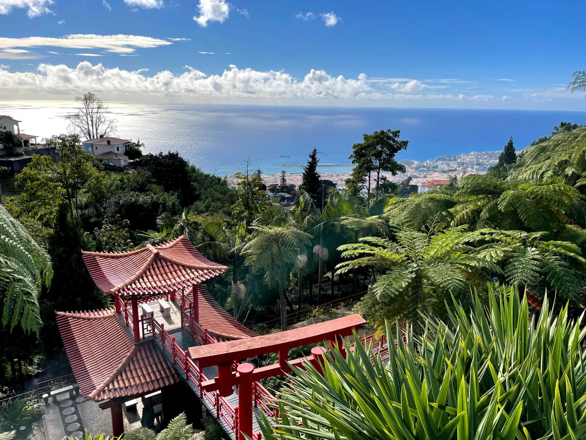 madeira island monte palace japanese garden