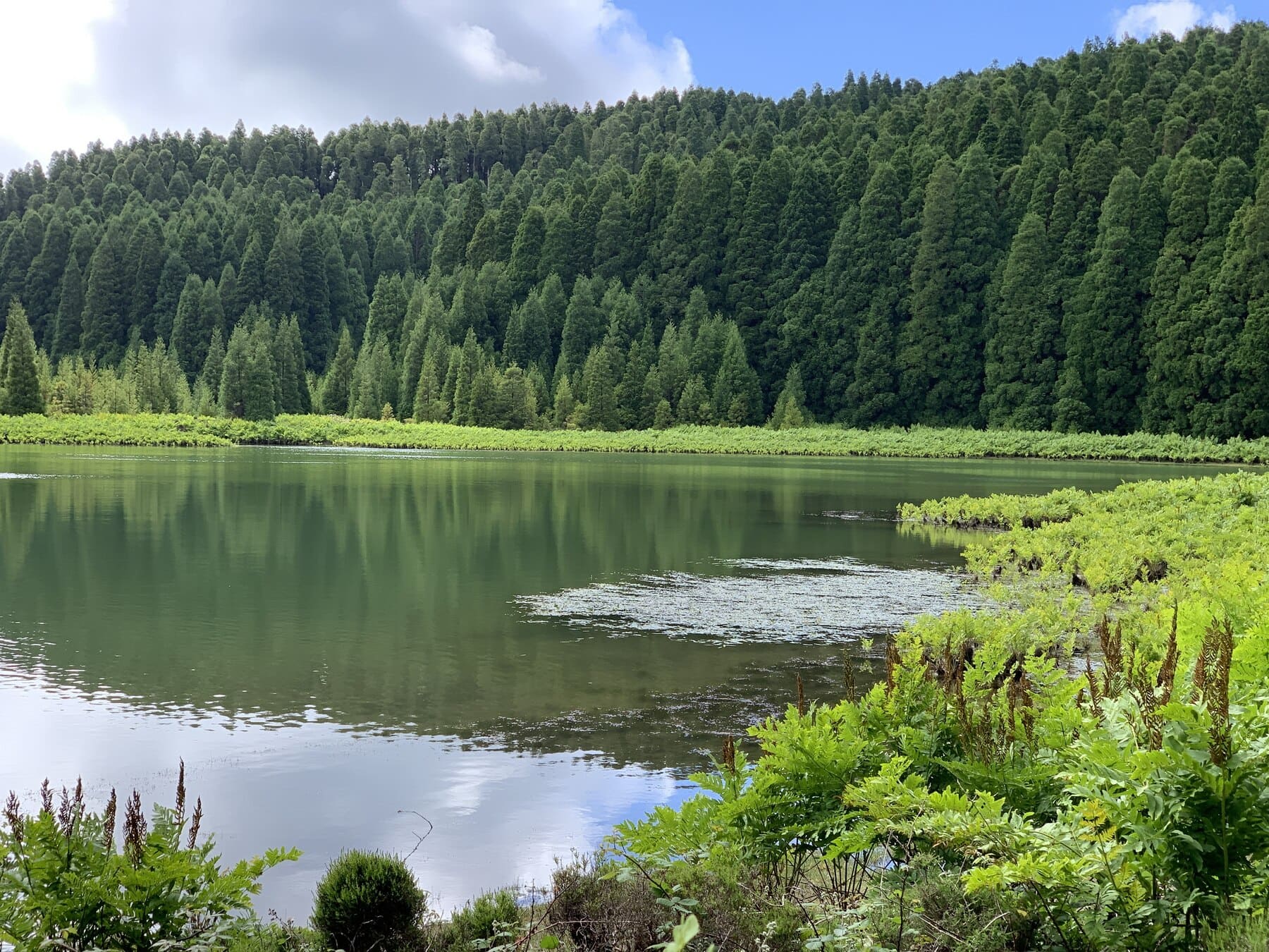 Canario Lake Azores