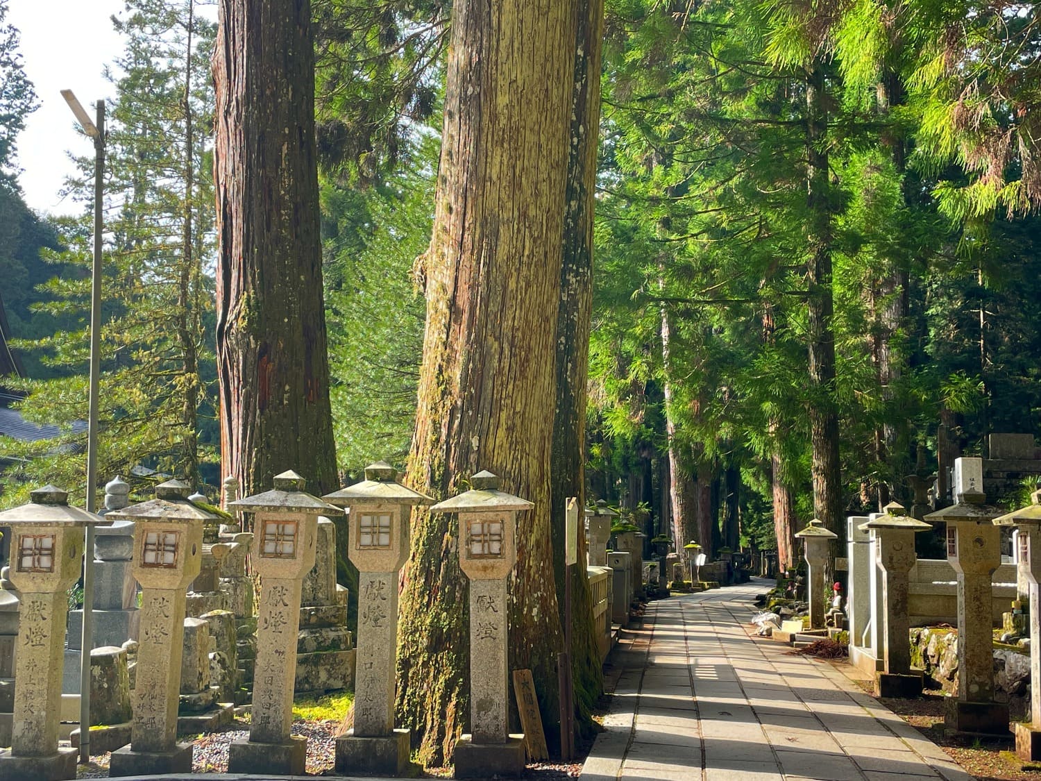 Spending a night away from Osaka in Koya-San turned out to be a great move.
